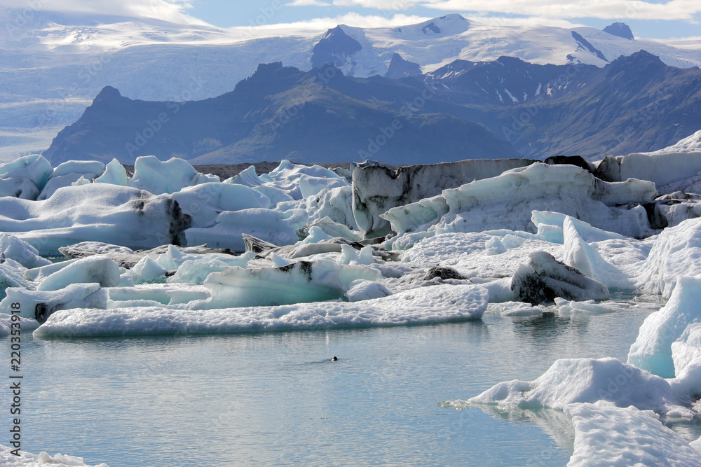 magnifique paysage magnifique paysage