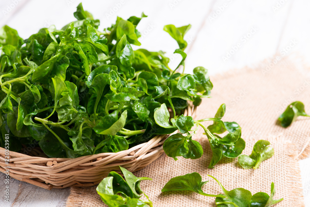 Fresh Watercress on table background Fresh Watercress on table background