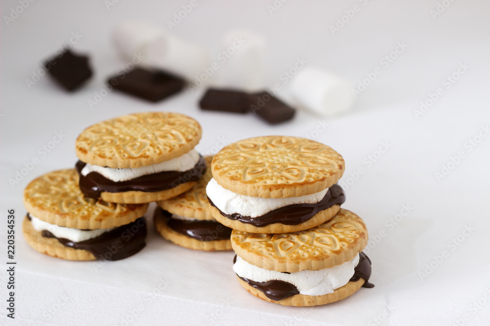 Homemade marshmallow s'mores with chocolate on crackers on a white background. Homemade marshmallow s'mores with chocolate on crackers on a white background.