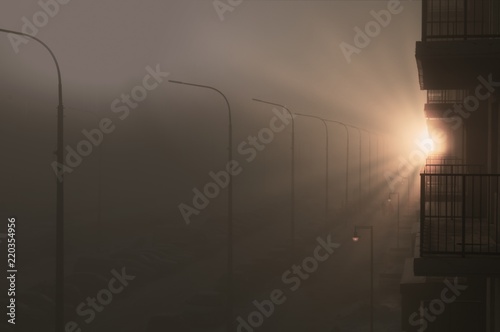 Foggy dawn in the city / Rays of the setting sun / Landscape with a street covered with thick fog.