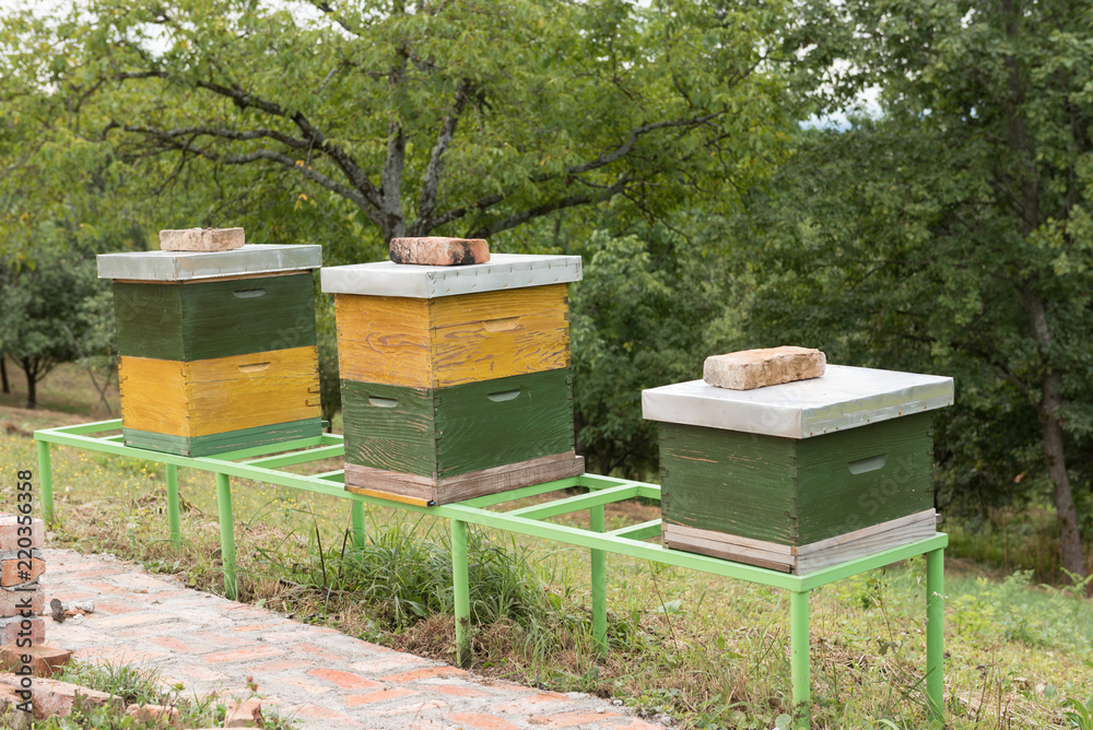 Green and yellow wooden Hives in an apiary with bees. Hives in nature. Apiculture Green and yellow wooden Hives in an apiary with bees. Hives in nature. Apiculture