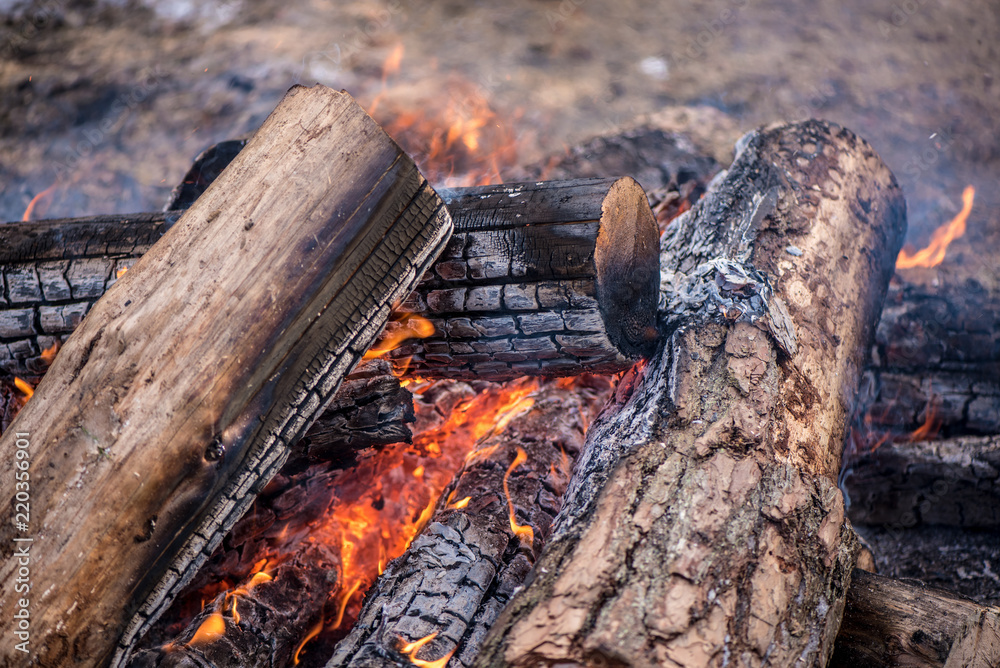 Fototapeta premium Burning logs in orange red bonfire