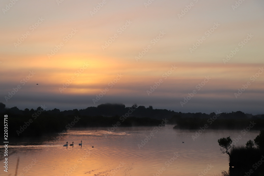 Coucher de soleil avec des oiseaux domaine de certes Bassin d'arcachon