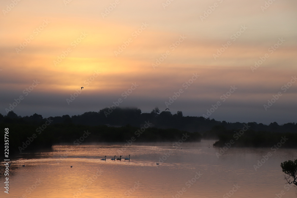 Coucher de soleil avec des oiseaux domaine de certes Bassin d'arcachon
