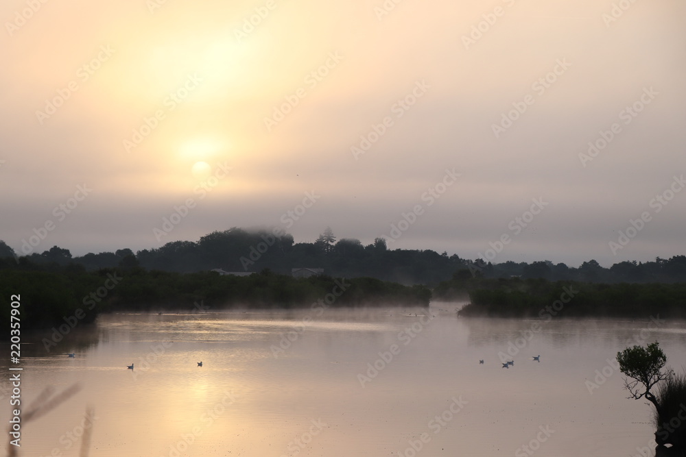 Fototapeta premium Coucher de soleil avec des oiseaux domaine de certes Bassin d'arcachon