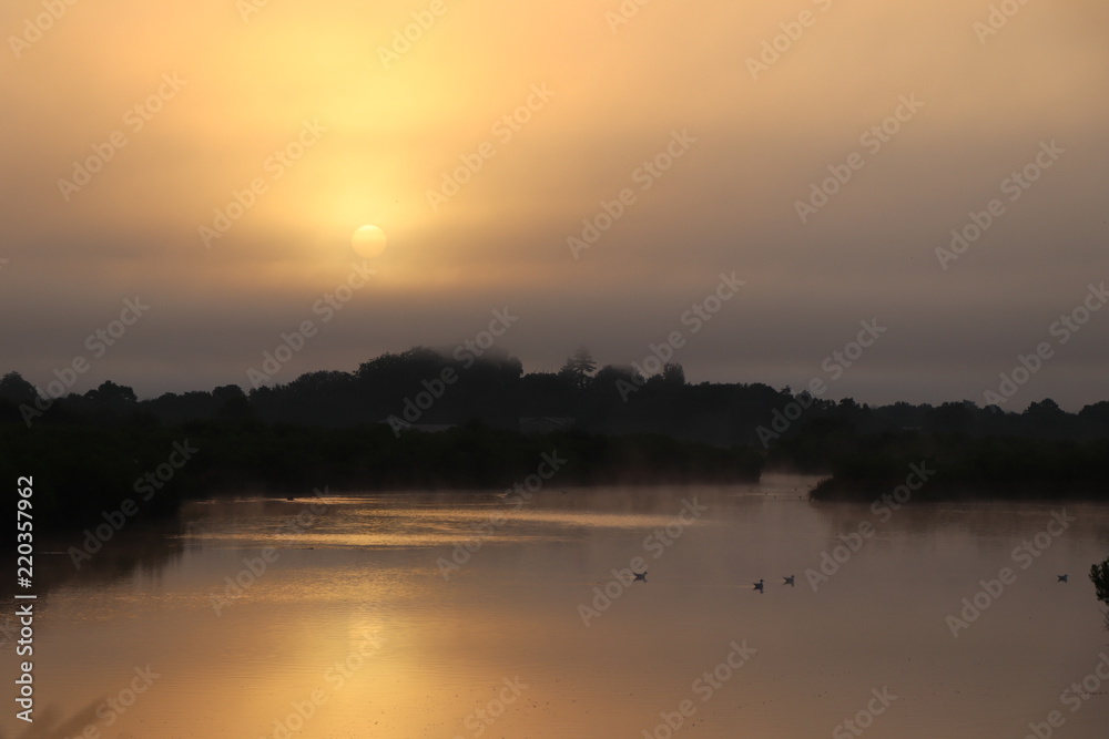 coucher de soleil sur le domaine de certes bassin d'arcachon