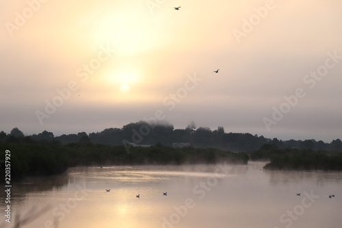 Coucher de soleil avec des oiseaux domaine de certes Bassin d arcachon