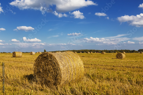 Straw rolls on farmer field in the summer