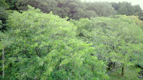 皿ヶ嶺の空撮, 竜神平から上昇して山並みと東温市を一望する