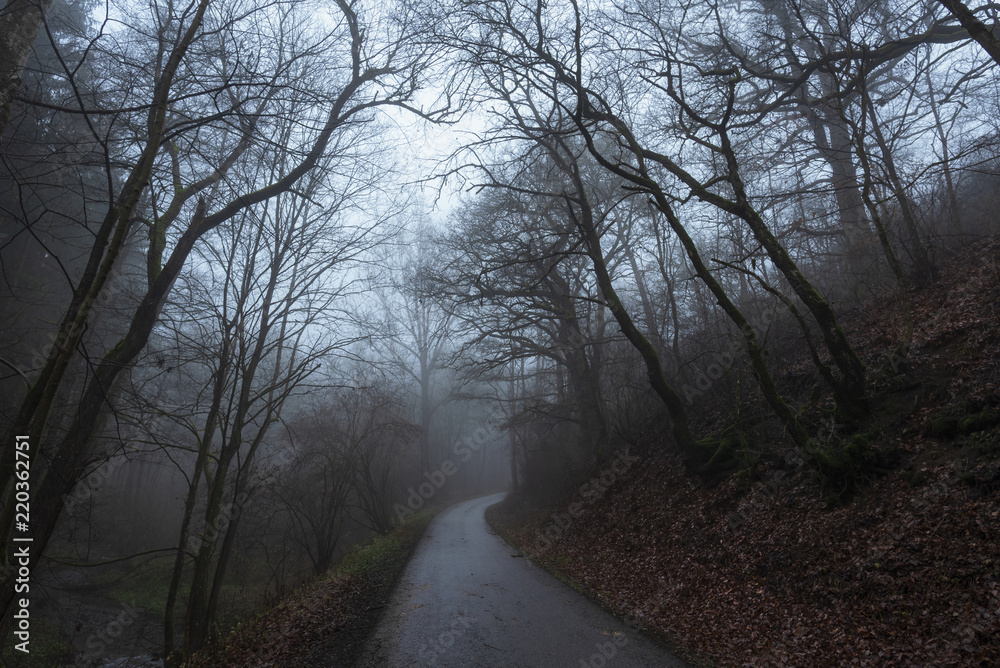Road through forest and autumn fog Road through forest and autumn fog