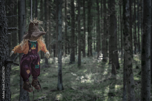 Scarecrow hanged with a rope in a dark forest