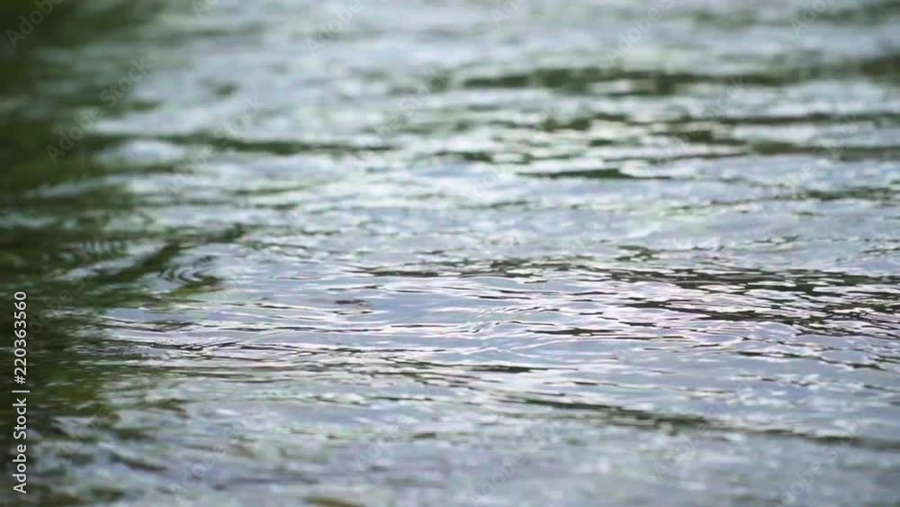 A close up angled shot of a river running. There are some small flies in the shot as well. Slow motion. A close up angled shot of a river running. There are some small flies in the shot as well. Slow motion.