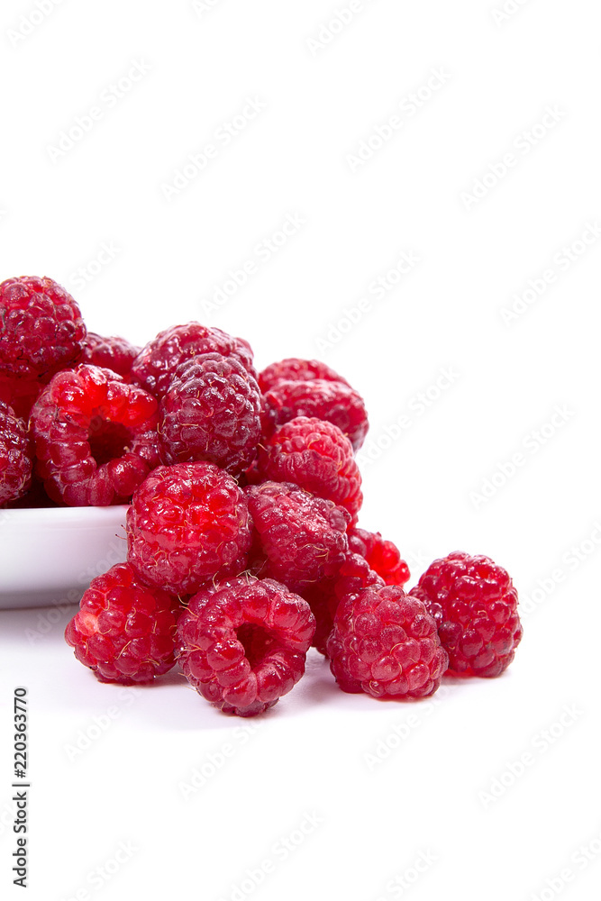Harvested juicy ripe raspberries fruit on white background.. Harvested juicy ripe raspberries fruit on white background..