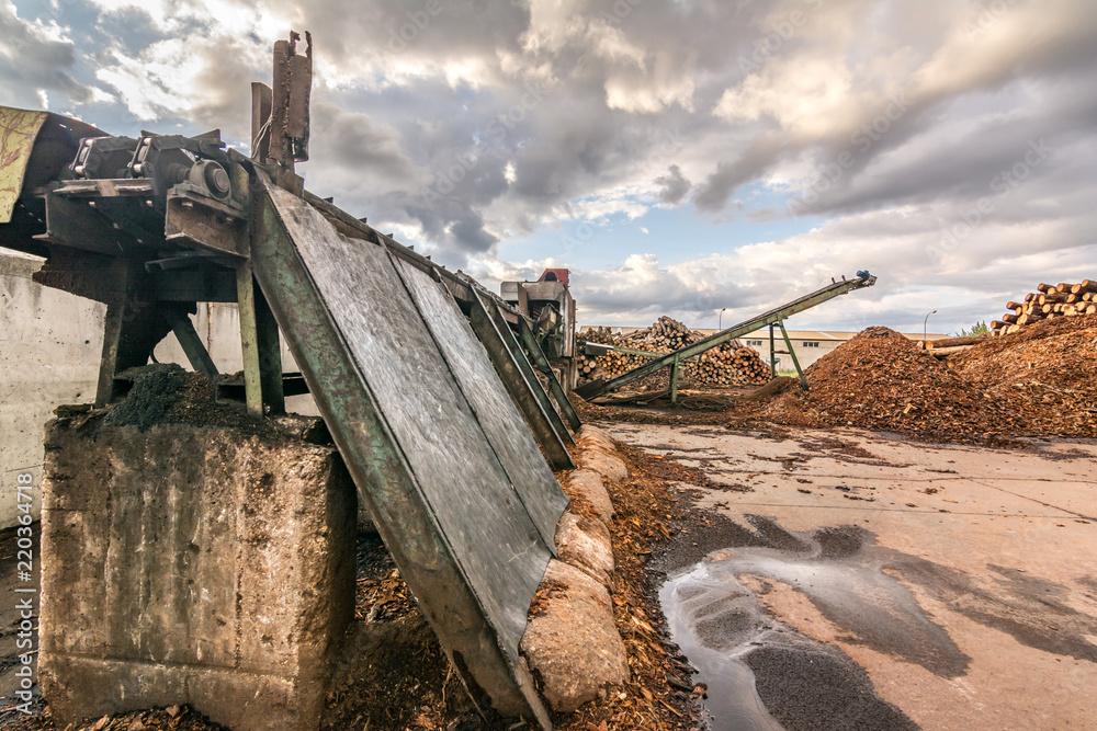 Pine wood sawmill with machinery for processing wood