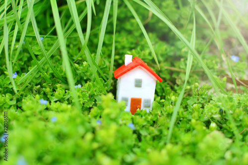Miniature house in a beautiful and fantasy greenery. Building and constructing in a wild nature concept.