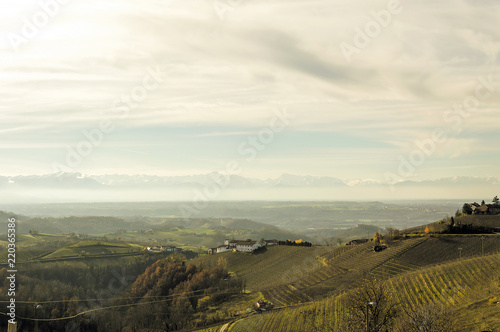 Panoramic view of the grape fields in autumn on the hills in Barolo valley