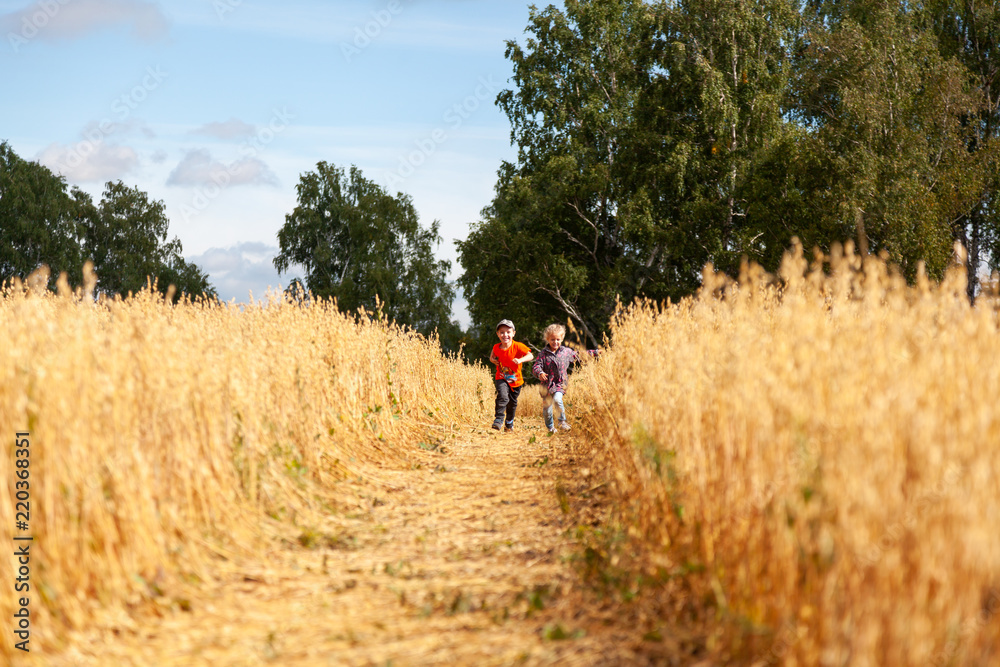 Little boy and girl on a wheat field in the sunlight running, playing enjoying nature. Kid Raising over field and sunset sky background. Children environment concept Little boy and girl on a wheat field in the sunlight running, playing enjoying nature. Kid Raising over field and sunset sky background. Children environment concept