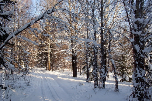 siberia winter landscape © Денис Пчелкин