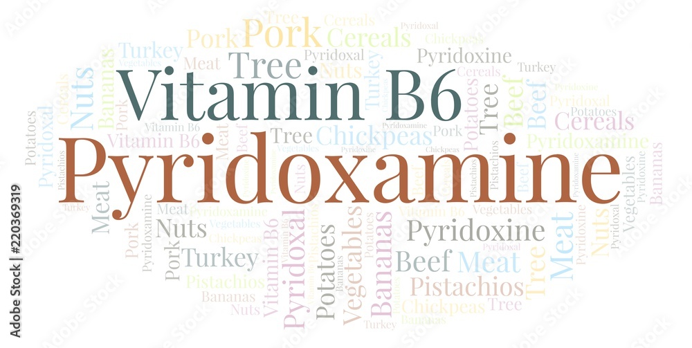 Obraz premium Pyridoxamine word cloud.