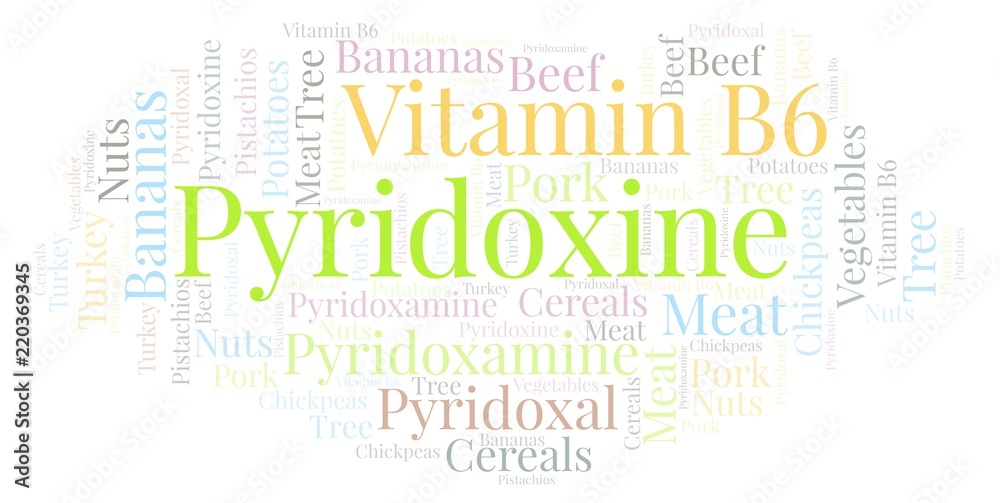 Obraz premium Pyridoxine word cloud.