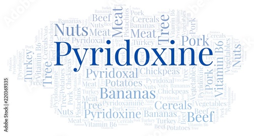 Pyridoxine word cloud.