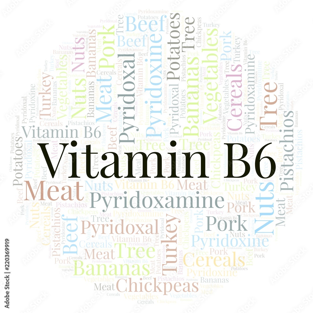 Fototapeta premium Vitamin B6 in a circle shape word cloud.