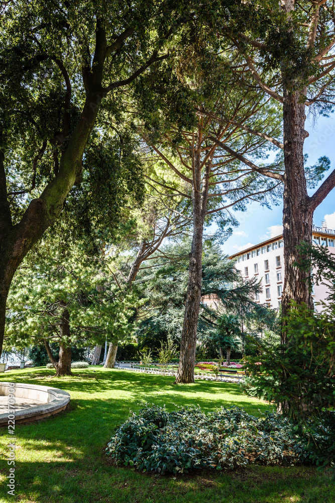 park area with large conifers and deciduous trees