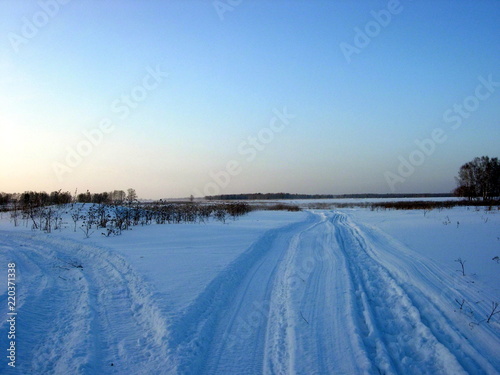 siberian taiga winter landscape