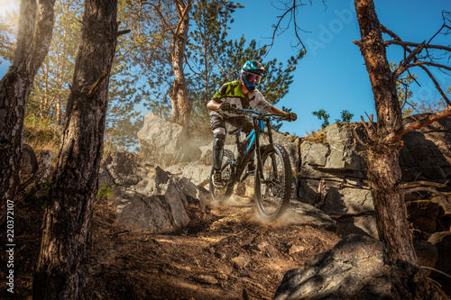 Mountain biker on forest trail. Male cyclist rides the rock
