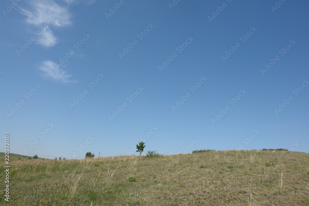 Obraz premium summer sky