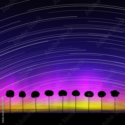 Landscape with trees at night. Vector illustration with isolated silhouettes of maples in grass. Rotation of stars. Northern lights in starry sky. Colorful aurora borealis.