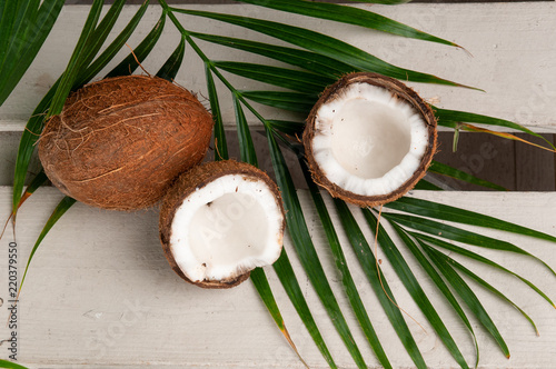Сoconut on a palm tree background. Coconut in a cut