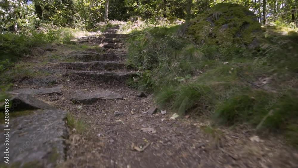 A young guy is hiking in the black forest on trails and over rocks A young guy is hiking in the black forest on trails and over rocks