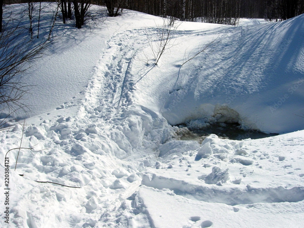 Obraz premium SNOWMOBILE