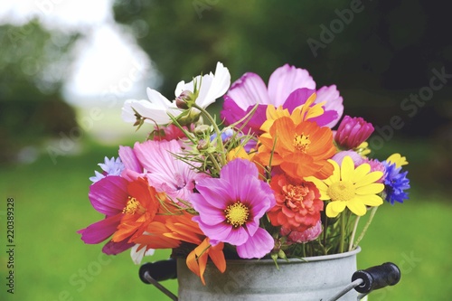 Fototapeta Naklejka Na Ścianę i Meble -  Grußkarte - Wildblumen Blumenstrauß 