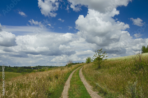 Sunny summer landscape with ground country road passing through the blooming buckwheat fields and green meadows.Beautifil white clouds in deep blue sky.