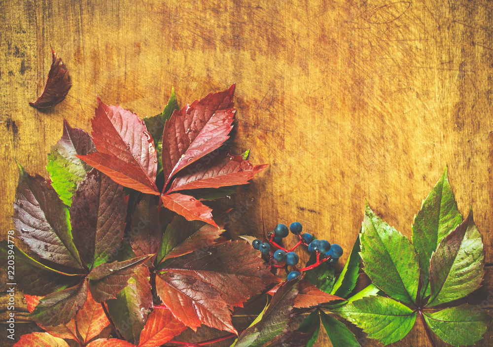 Obraz premium Autumn background with colorful leaves