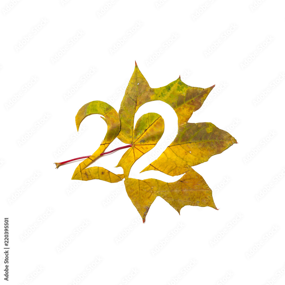 Fototapeta premium Figure 2 is cut from yellow maple leaf