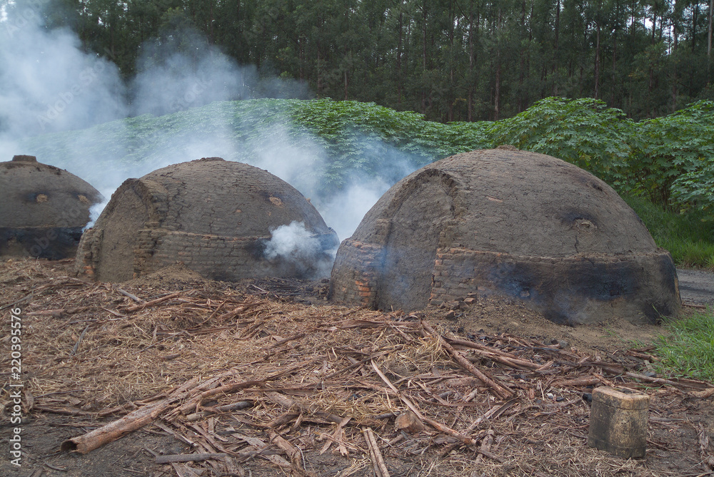 Obraz premium Charcoal furnace on the eucalyptus in Espirito Santo , Brazil.