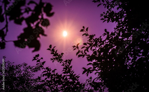 night