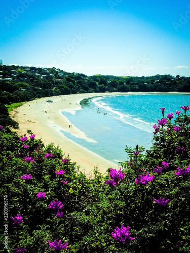 Oneroa Beach on Waiheke Island in New Zealand. Taken from the top of a cliff, with beautiful red flowers in the foreground and people on the beach down below.