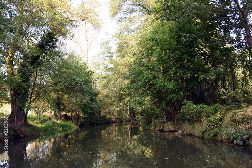 Die Spree im Spreewald bei Burg