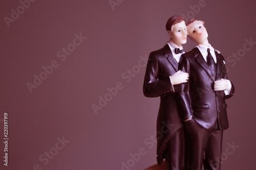 Cake topper gay wedding couple photo