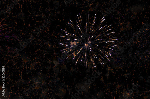 Fireworks on black background for celebration design. Abstract firework display background.