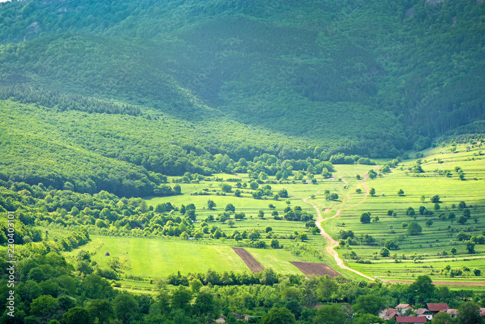 Beautiful, fresh morning in mountain landscape next to cultivated land. Farming in countryside between hills and dark green forest. Bright sunlight and fog all around. Small gravel roads