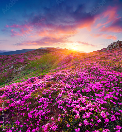 Dramatic summer sunrise in the Carpathian mountains