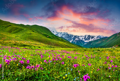 Beautiful view of alpine meadows in the Caucasus mountains © Andrew Mayovskyy