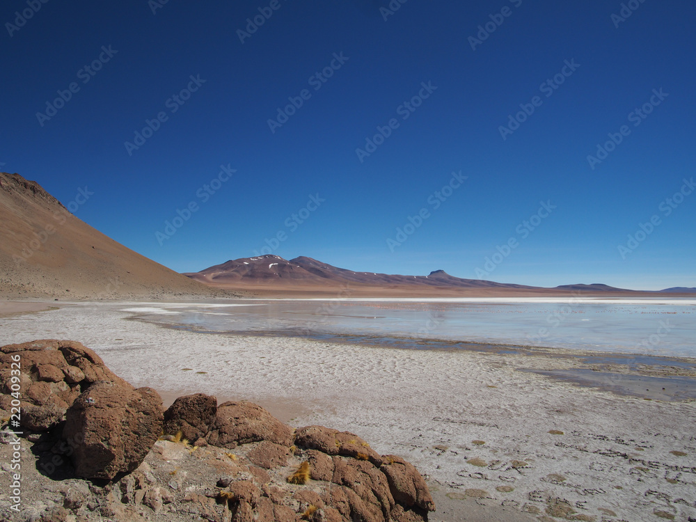 Laguna, Altiplano, Bolivia