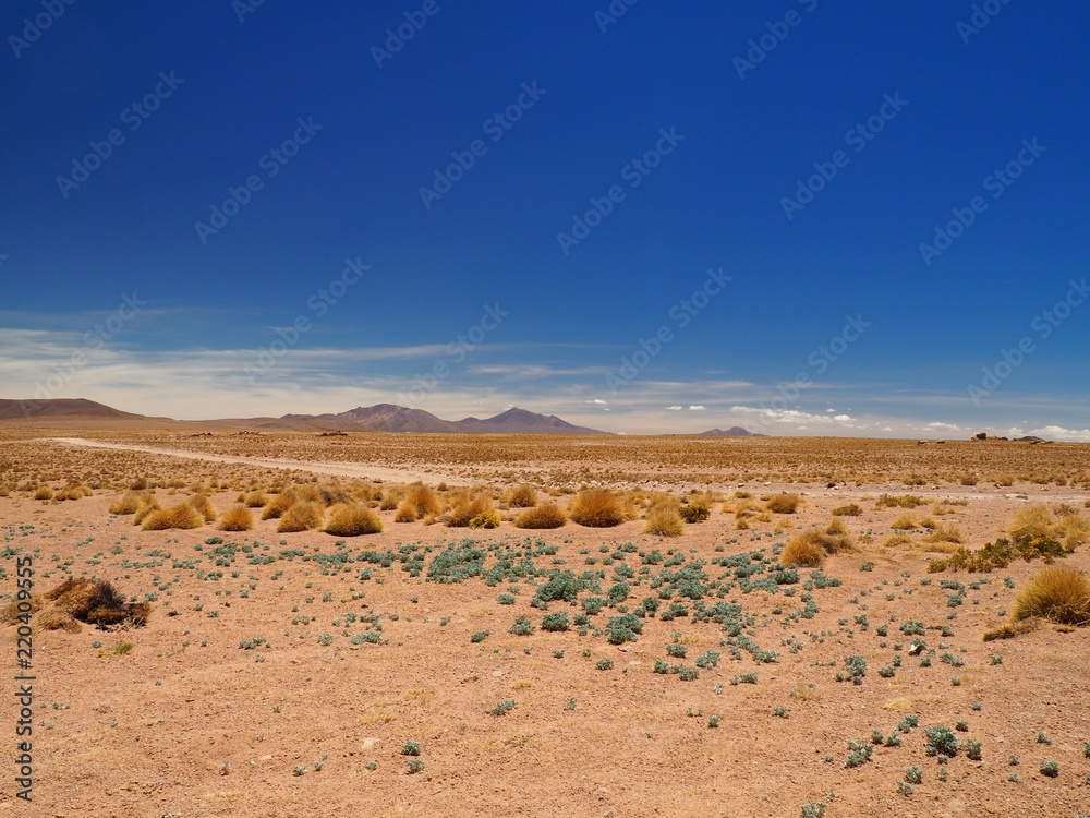 View over the Altiplano in Bolivia