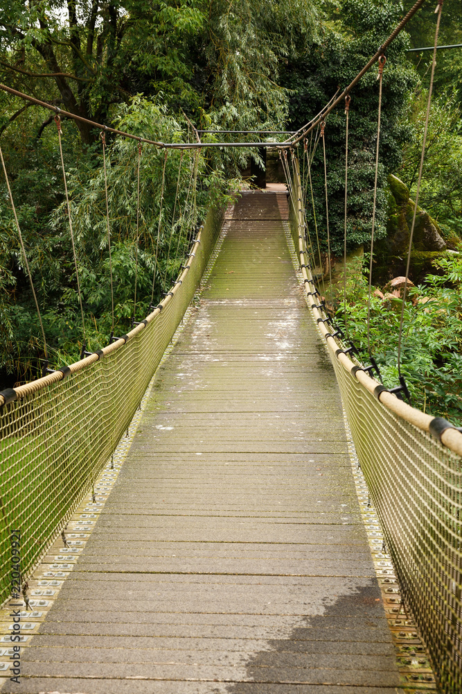 Hanging bridge